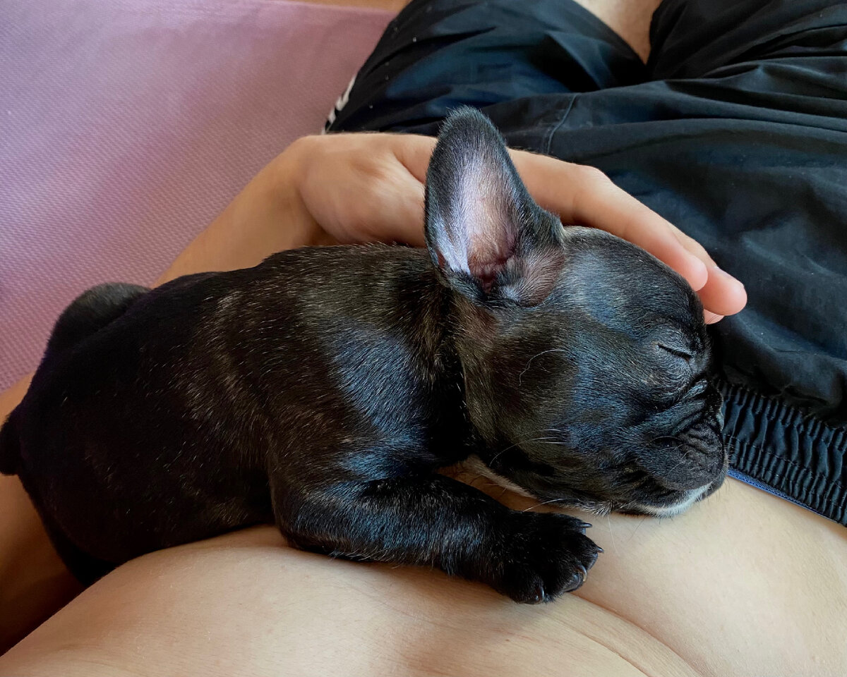 Луна дома первый день 