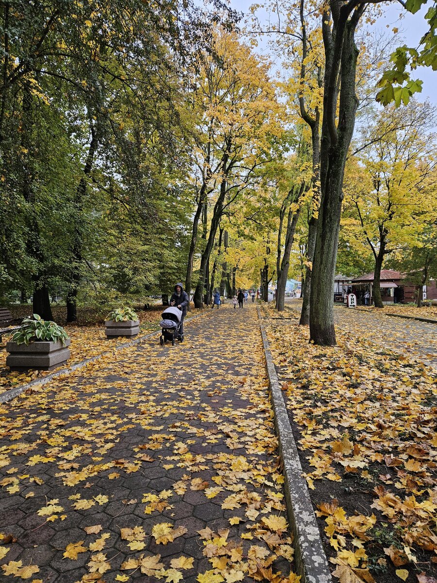 Живу на МРОТ Петербурга. День 30. 500 рублей за короткий органный концерт