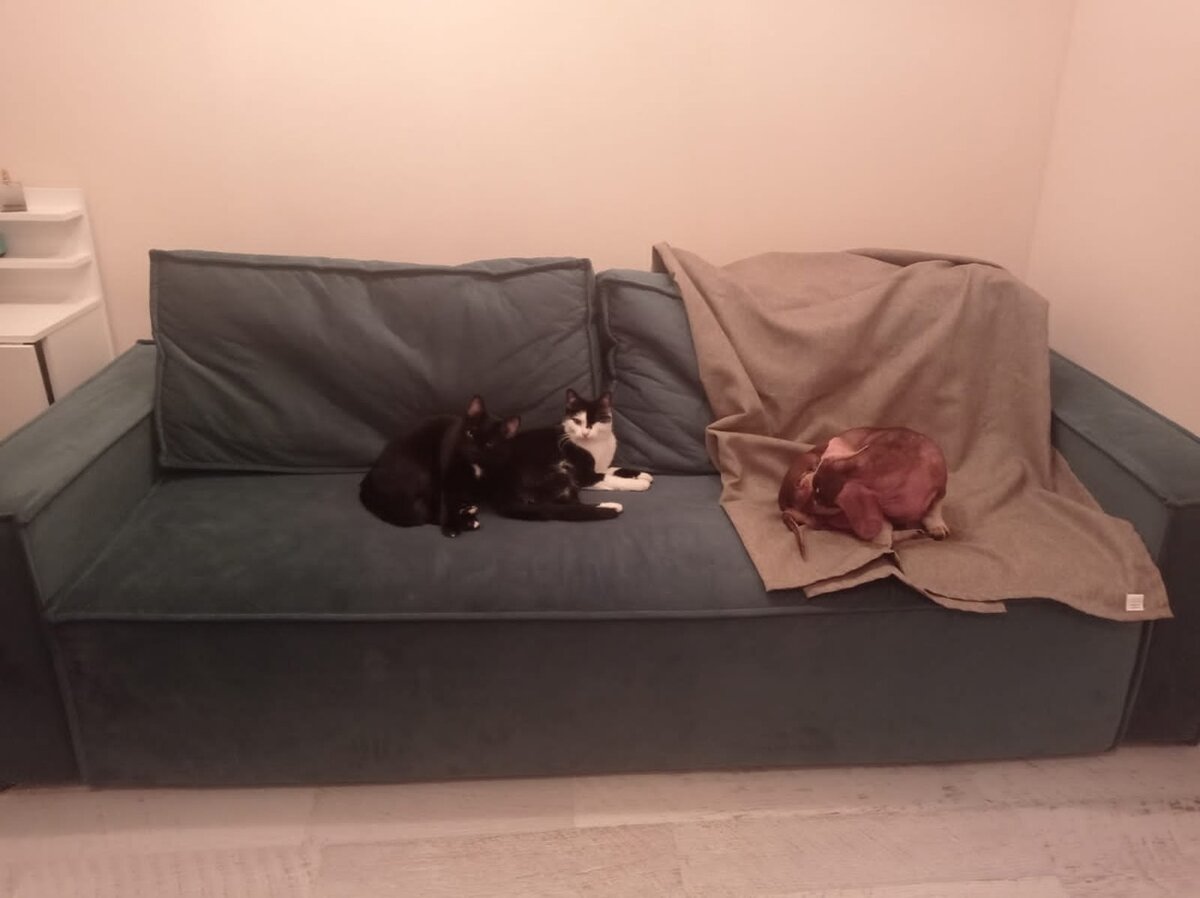 Пиратик и Патрик