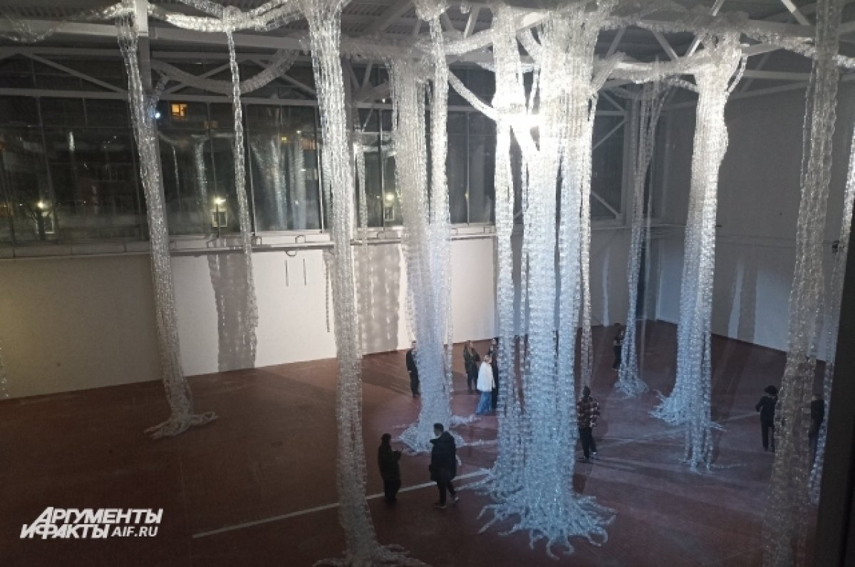    Инсталляция «Баньян» в новом музее.