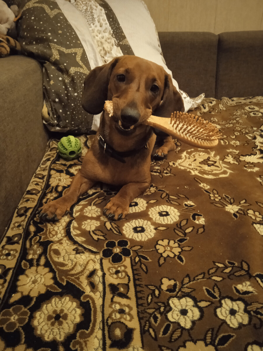 У нас самообслуживание