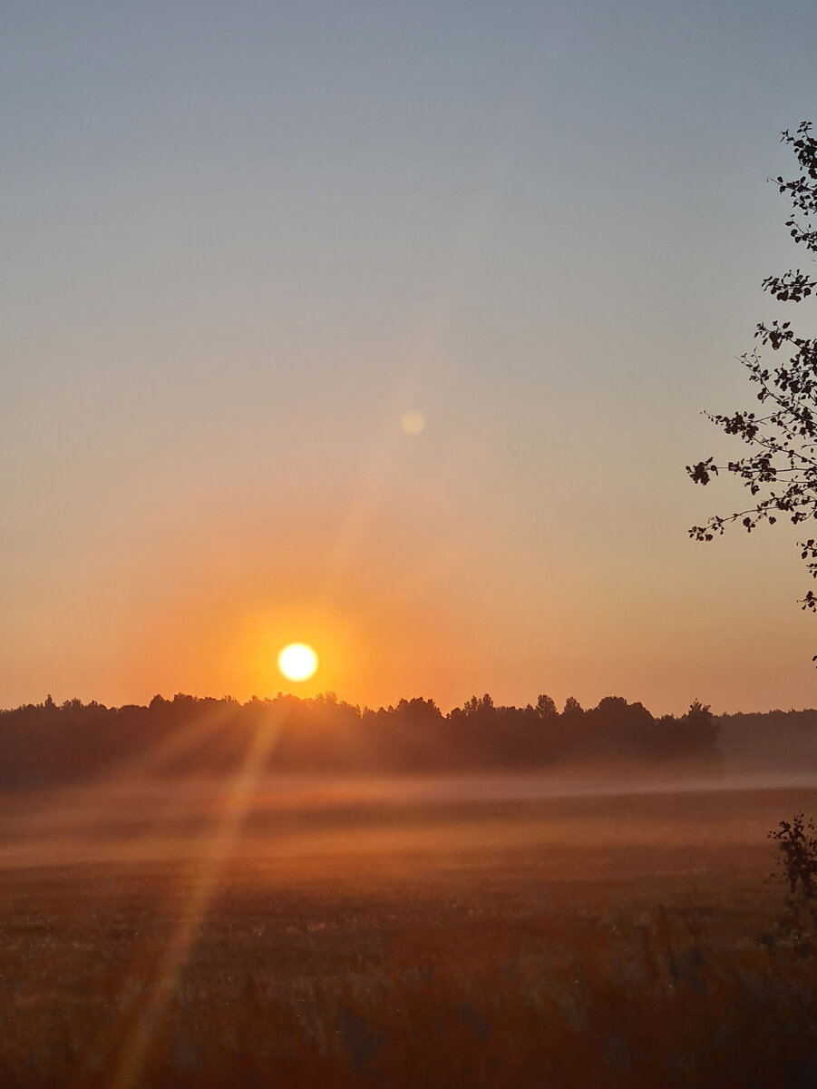 Встретили по дороге закат