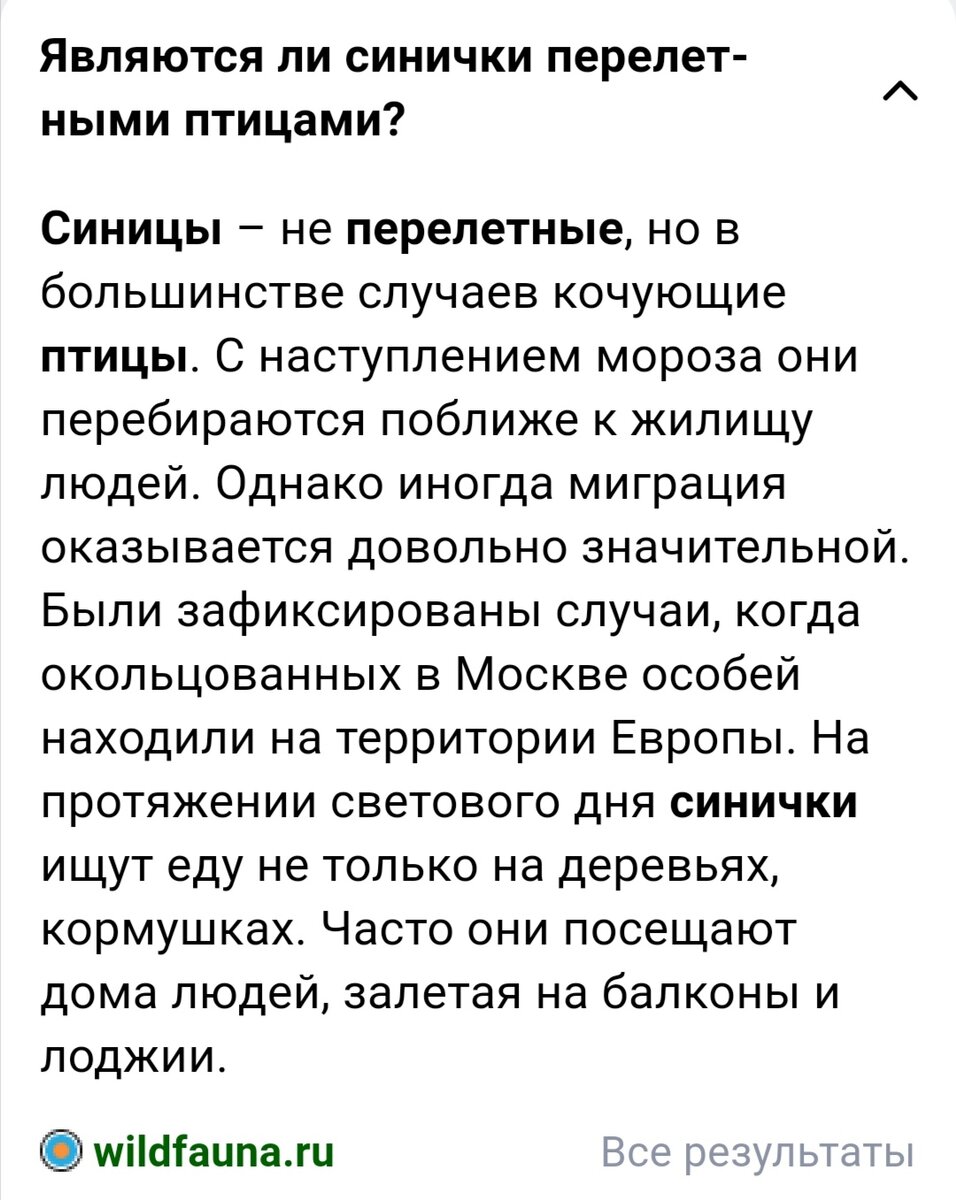 Рисование, занятие 8. Замерзшая рябина. | Растём вместе с детьми. Учу,  играю, развиваю. 🤗 | Дзен