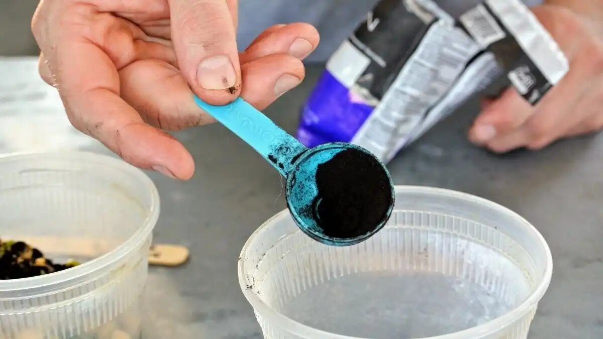 Фото:dachamir.ru Ставропольский край станет пилотным регионом по выпуску нового биопрепарата