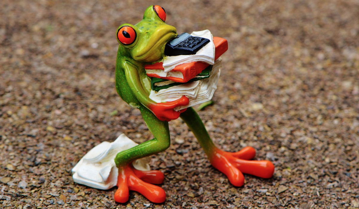    Фото: Pixabay.com