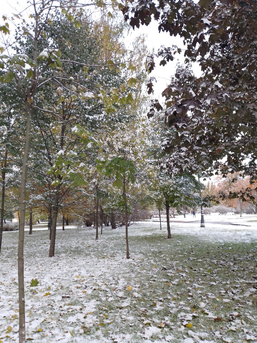 Бывает ли снег в октябре. Октябрь мокрый снег. Снег. Октябрь первый снег. Москва сегодня первый снег.