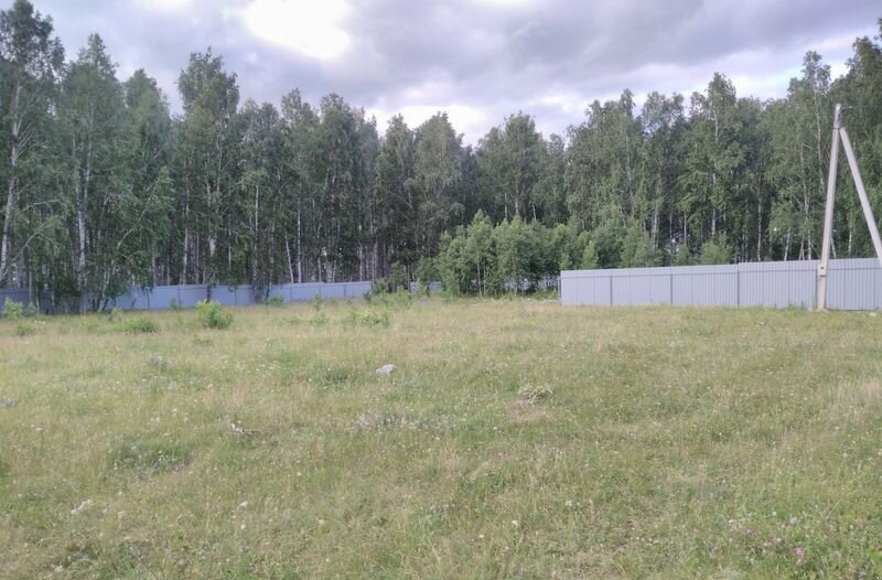 Наш участок с забором (правая часть). Вдали в углу в разрыве забора- еще участок 12 соток - это  сад-огород -моё фото