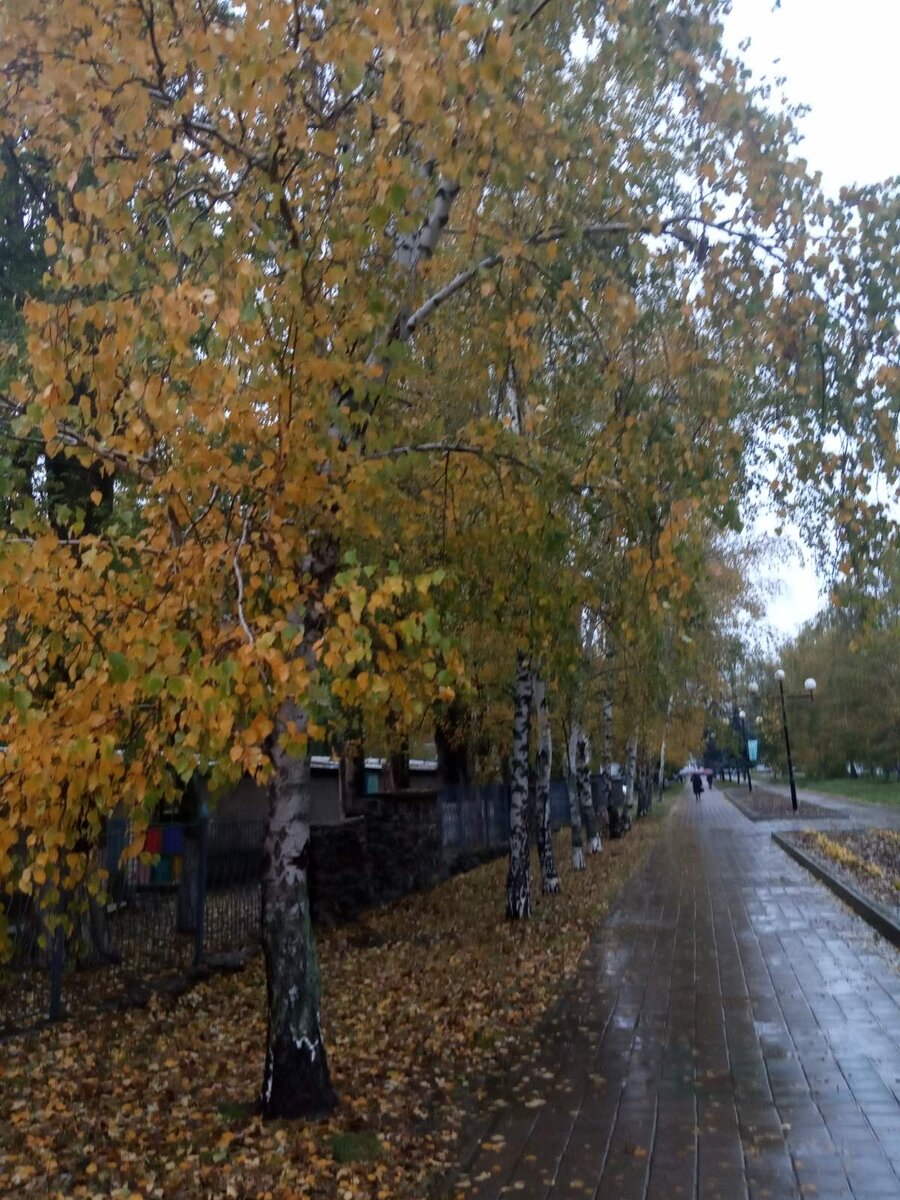 Осень. Дождь. Одиночество.