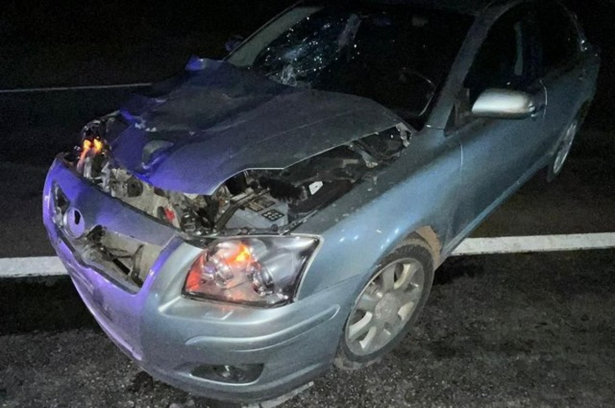    Две девочки-подростка погибли после наезда машины на Ставрополье