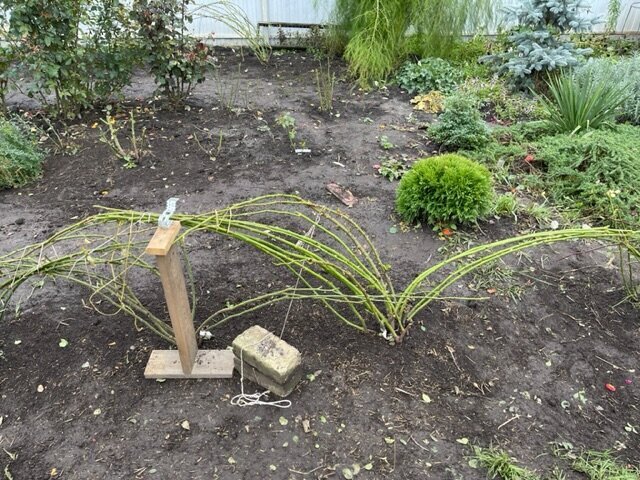 Добавьте описание