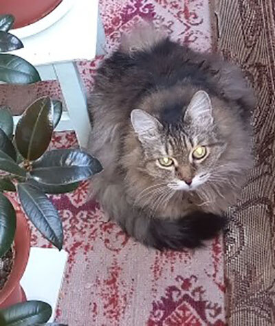 Бон Бон собственной персоной