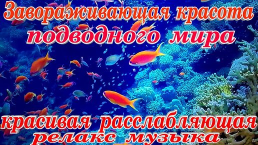 Ксения Разуваева, руководитель Федерального агентства по делам молодежи: «Здесь реально весь мир»