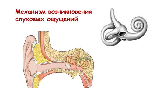 Чем помогает школьнику решебник