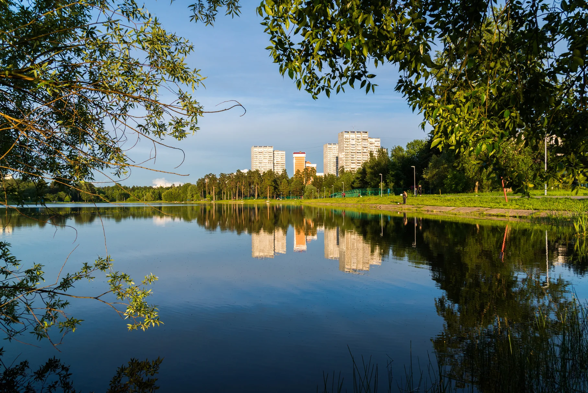 озеро в зеленограде