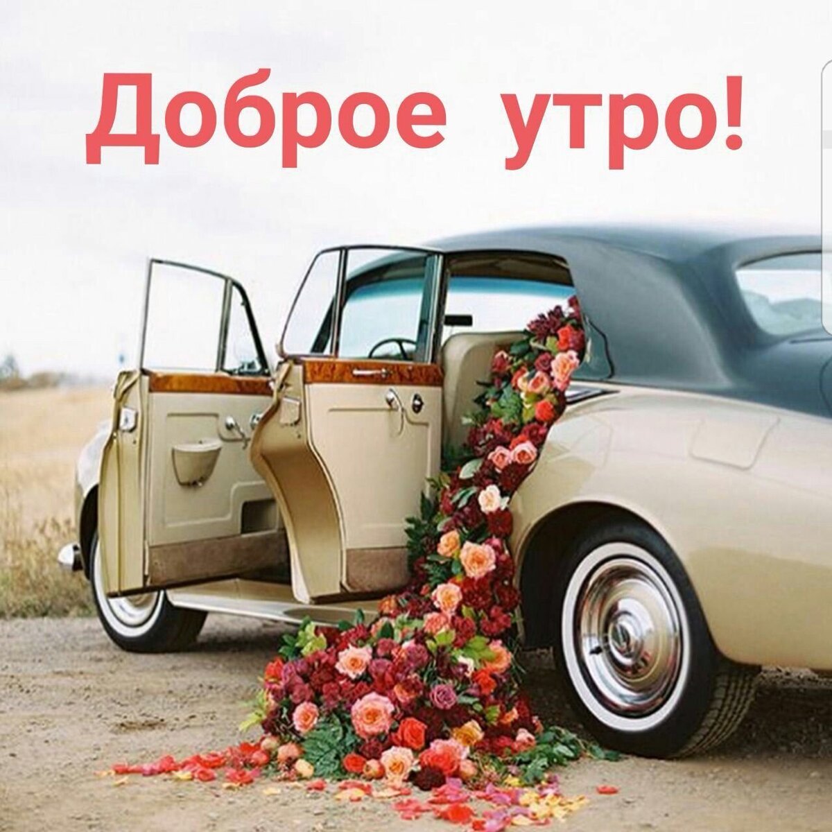 Яндекс. Открытый источник