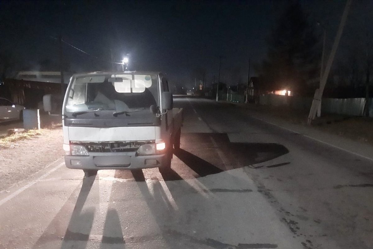    Под Хабаровском водитель сбил 5-летнего мальчика, вышедшего на дорогу