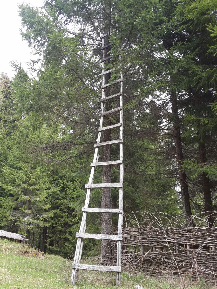 У вашей цели может быть много ступеней. Фото с сайта https://clck.ru/36JYwd