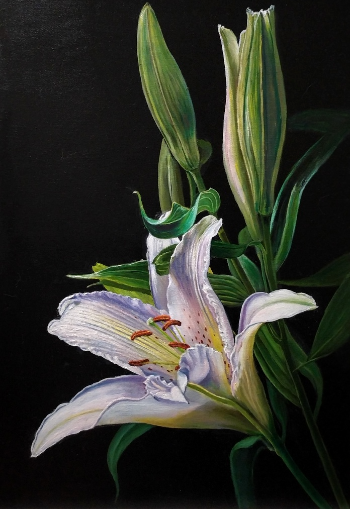 Источник изображения : id207589472