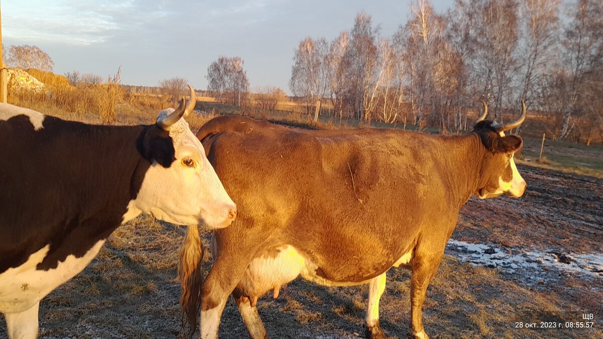 Марта и Дочь. Ну, или Дочь с дочерью)))