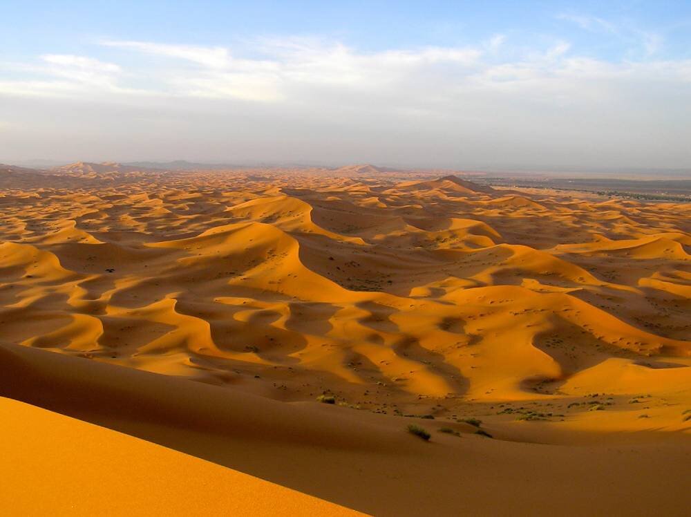 Научным объяснением наличия песка в пустыне является процесс разрушения горных пород из-за ветровой и температурной эрозии. За миллионы лет камень превратился в песок.