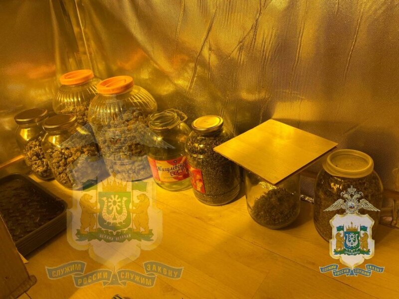    Обзор главных происшествий в Югре за неделю