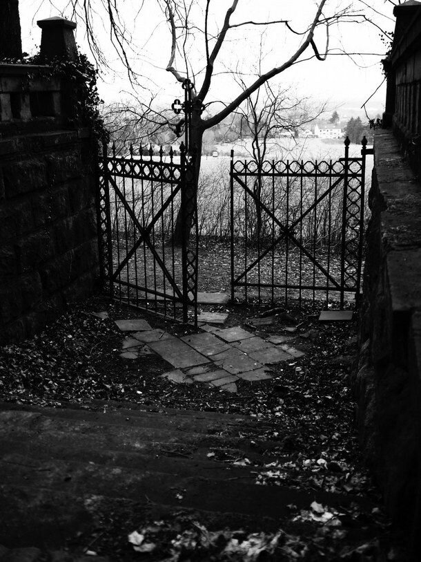 Изображение взято из открытых источников интернета. 