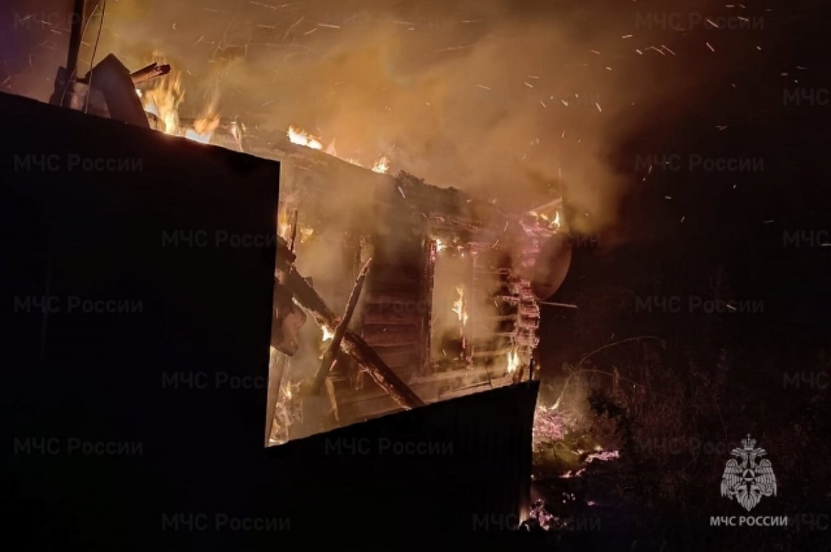    На пожарах в брянских Новозыбкове и Васьковичах пострадали два человека