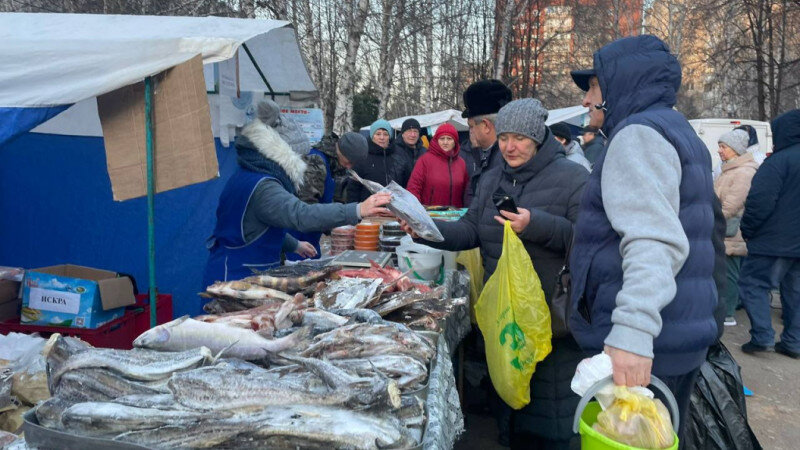     Продовольственная ярмарка в Барнауле. barnaul.org