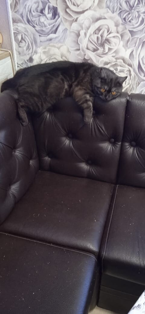 Фото автора 