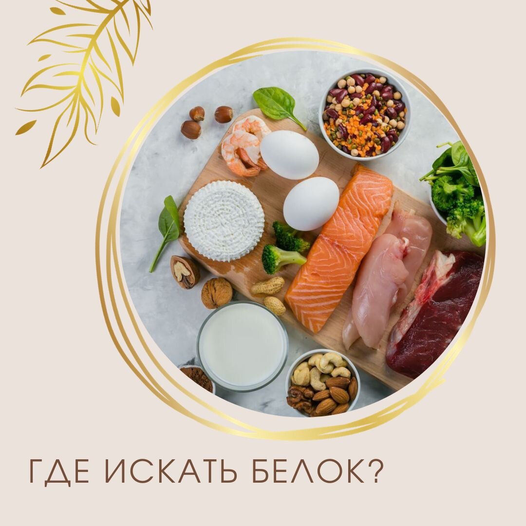 Продукты животного происхождения с высоким содержанием белка 