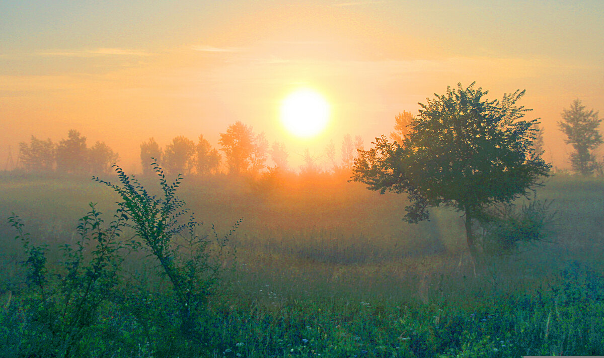 Лучами красит солнышко. Солнышко для детей. Восход. Солнышко картинка. Полотно в разных значениях.