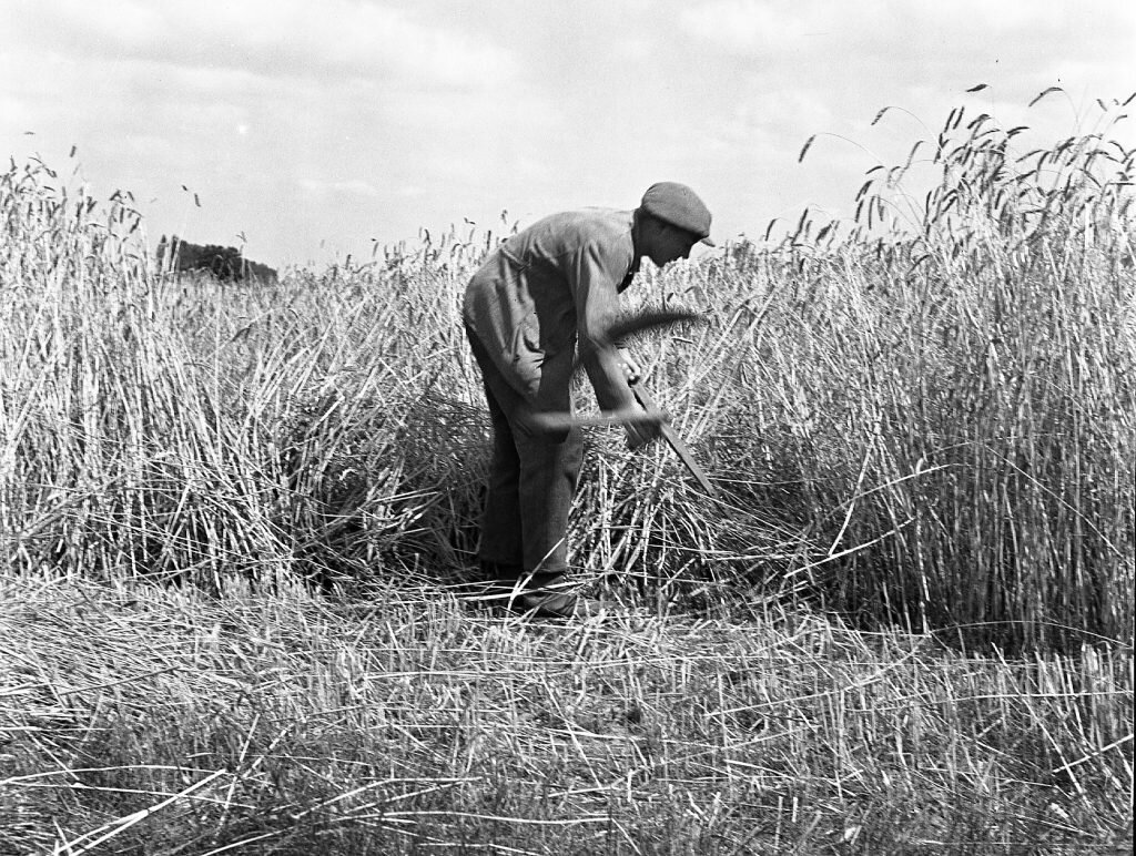 Фото из открытого источника