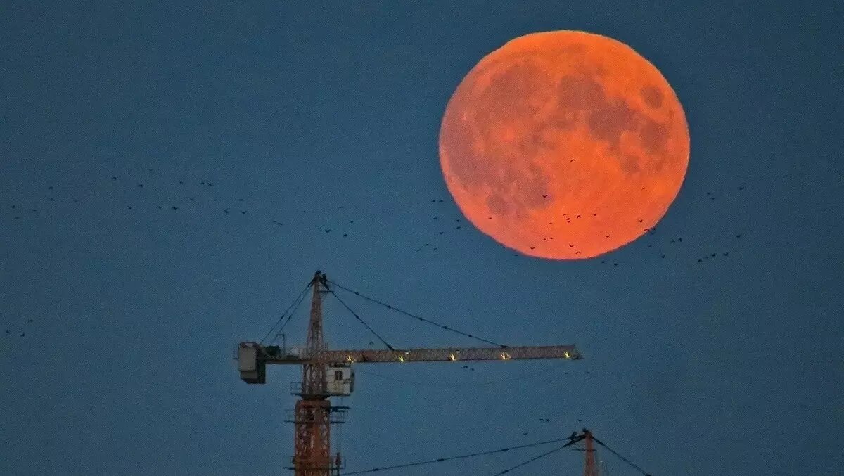     Жители Тюмени делятся в социальных сетях фотографиями кровавого полнолуния. Необычного цвета Луну можно было наблюдать накануне ночью, с 28 на 29 октября.
