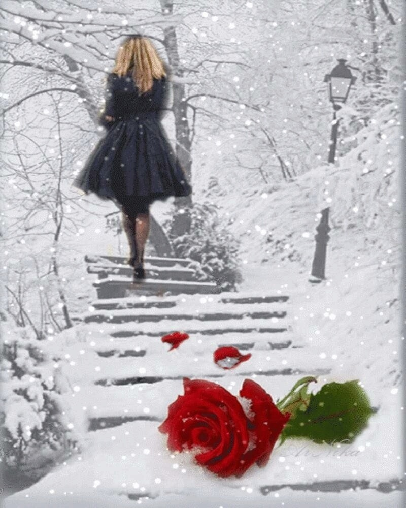 Яндекс картинки