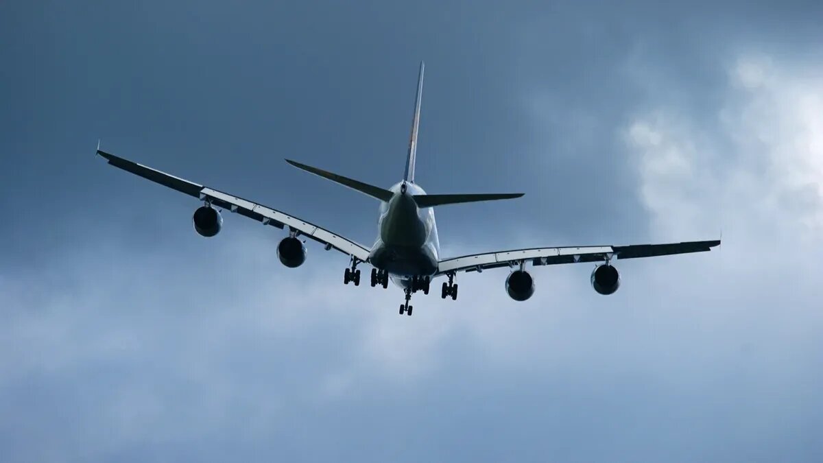 Фото: pxhere.com