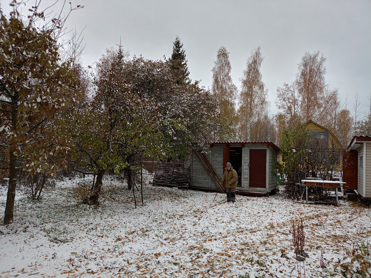 Всё в снегу. Фото автора