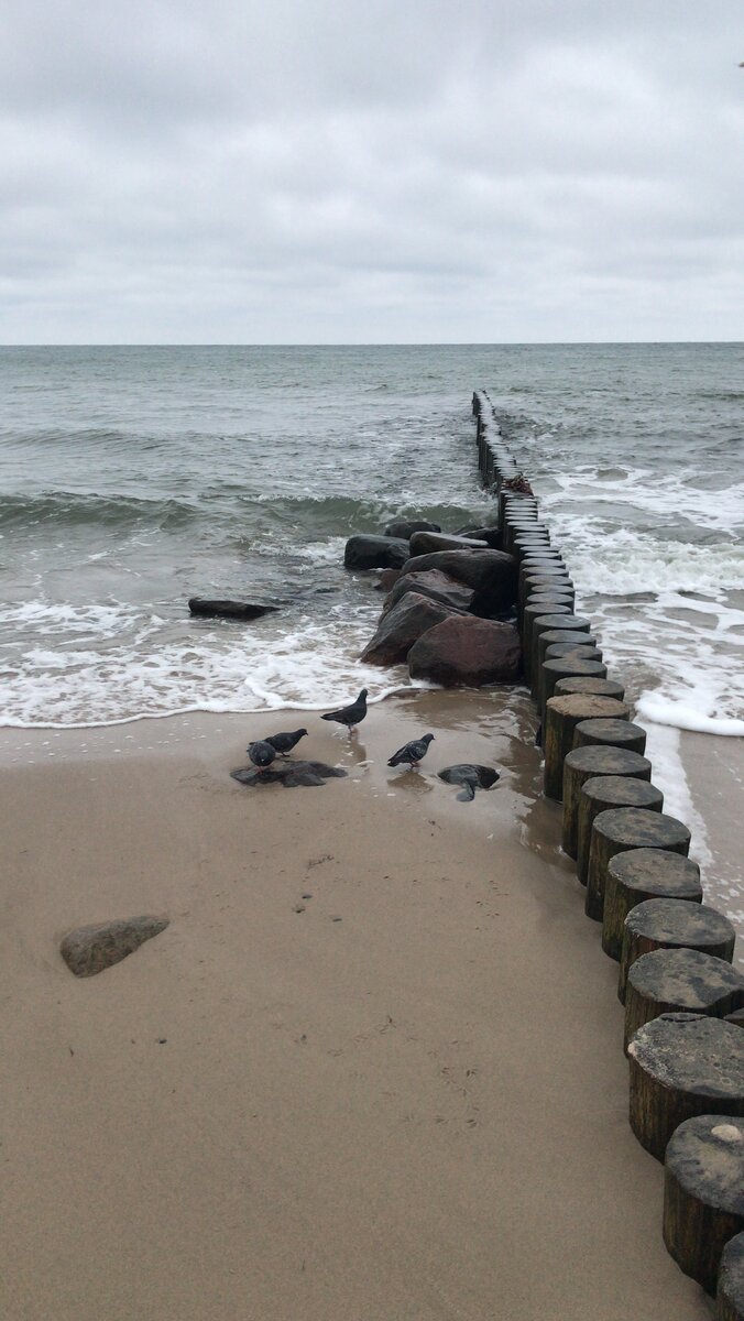 Балтийское море