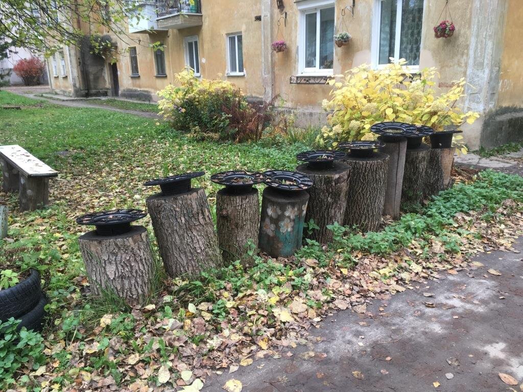 Фото из статьи про пеньки возле старого дома.