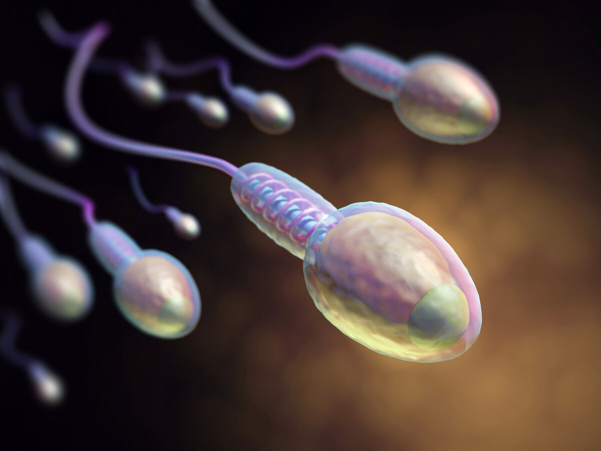 сперма полезен для женской организме фото 97