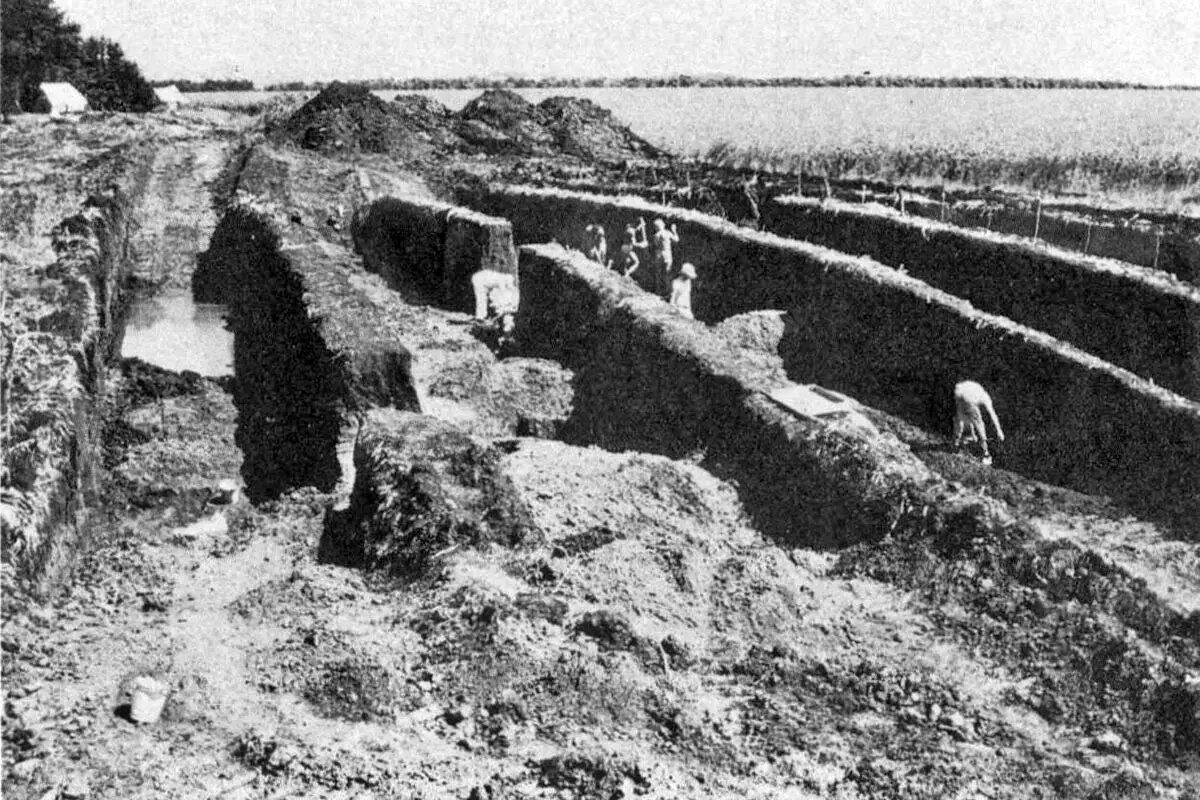 Раскопки курганов рядом со станицей Келермесская