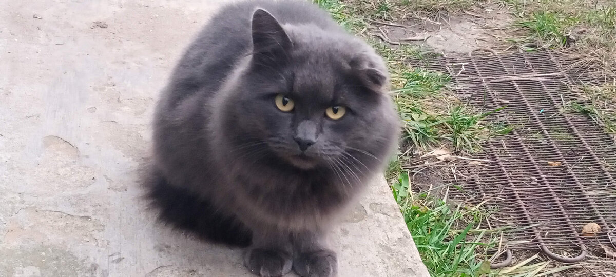 От прежнего вида бомжа осталось только ухо