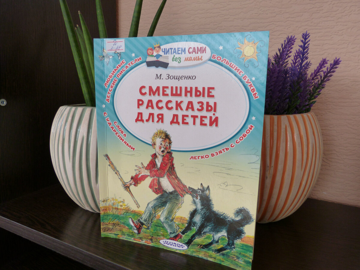 Кстати рассказ из сборника "Смешные рассказы", так что нам предлагается вместе посмеяться над Андрюшей, а мне стало грустно. И дочке тоже. Фото мое. На обложке Андрюша.