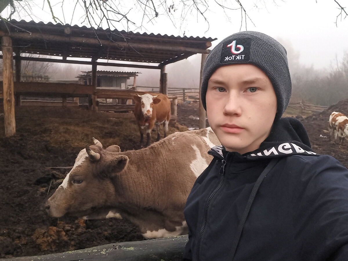 Туманное утро