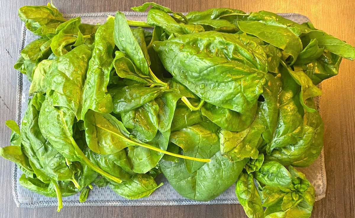 ШПИНАТ СО СВОЕГО ОГОРОДА. 