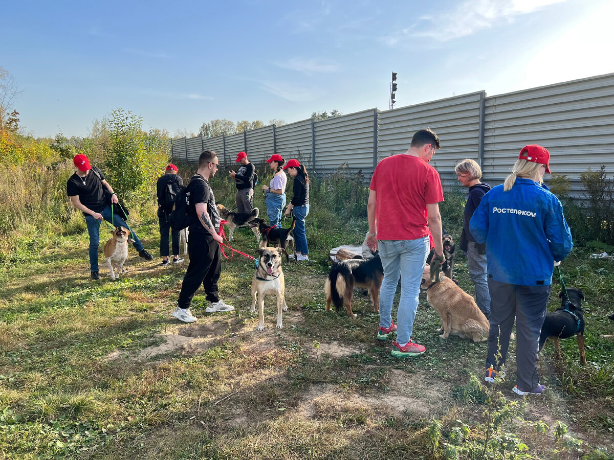 Гости к нам приезжают самые разные. Часто приезжают группы сотрудников, студентов. Такие корпоративные развлечения, тимбилдинг.