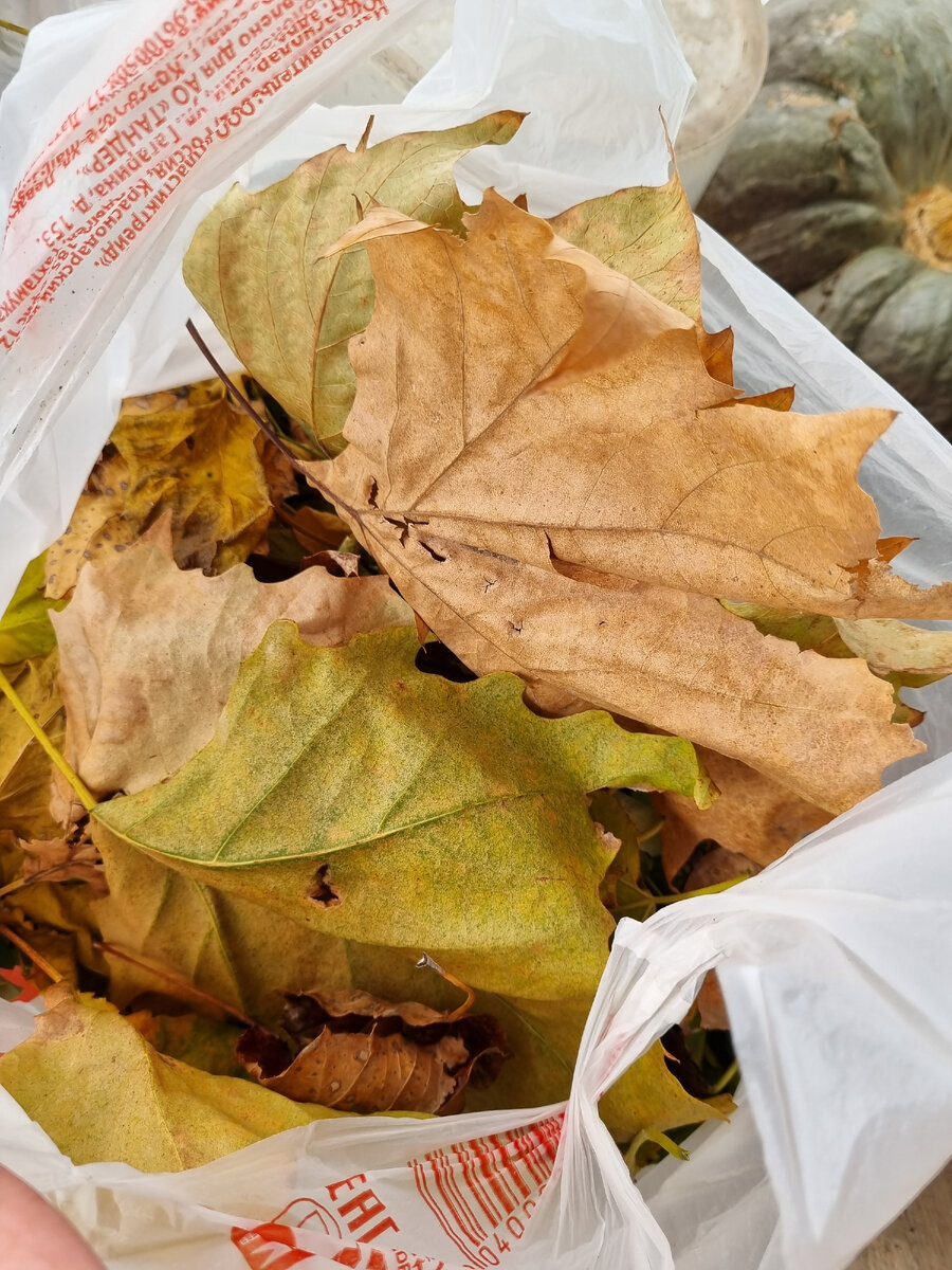 Набрал трофеев