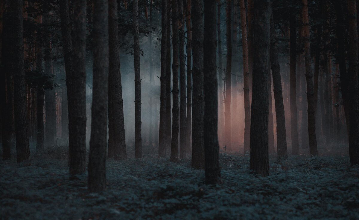    фото: Shutterstock/Fotodom.ru