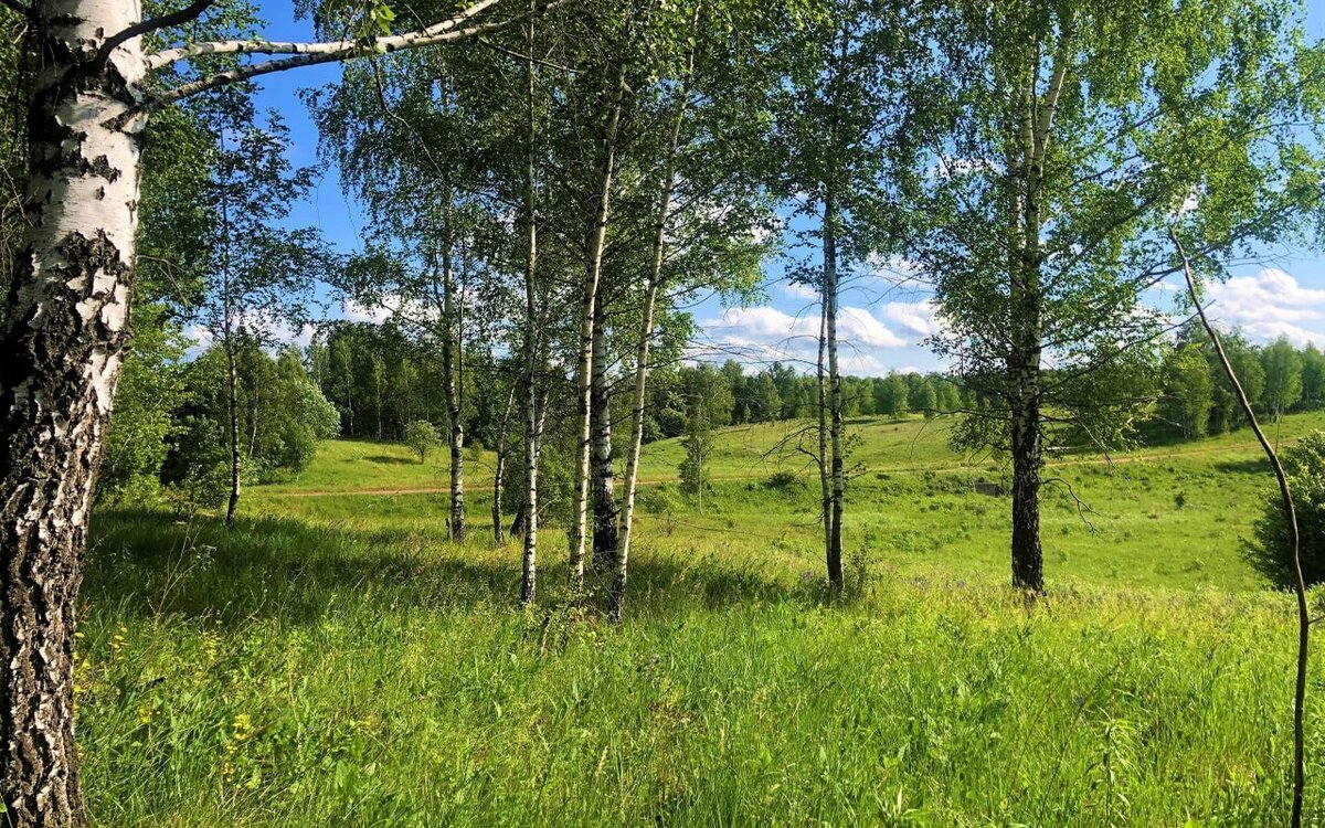 Куряне смогут принять участие в экоконкурсе 