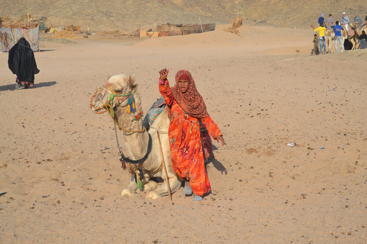 Моё путешествие в Египет. Грязные женщины, сопливые дети и мужики в юбках -  племена бедуинов. КАК ЖИВУТ ЛЮДИ В ПУСТЫНЕ. Много фото | Anaks from Питер  💙 Моя простая жизнь | Дзен
