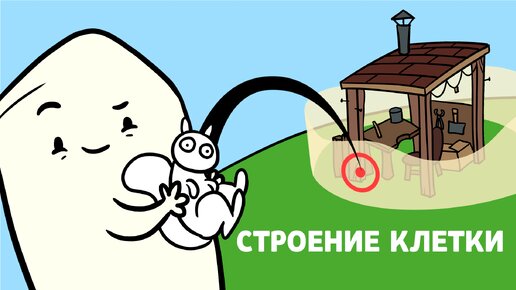 СТРОЕНИЕ КЛЕТКИ - ПРОКАРИОТЫ И ЭУКАРИОТЫ | Анимация - биология